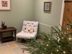 Chair and Xmas tree